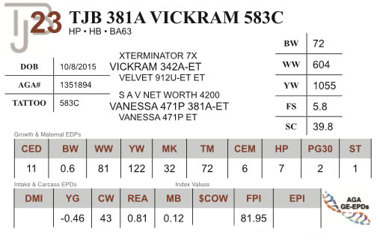 Lot 23 - TJB 381A VICKRAM 583C